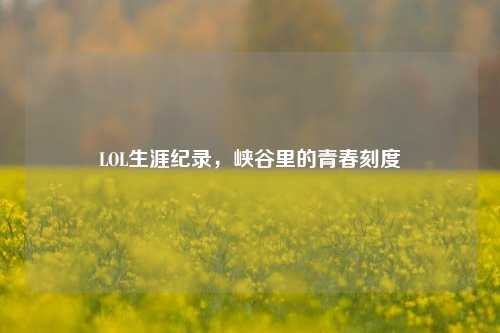 LOL生涯纪录,峡谷里的青春刻度