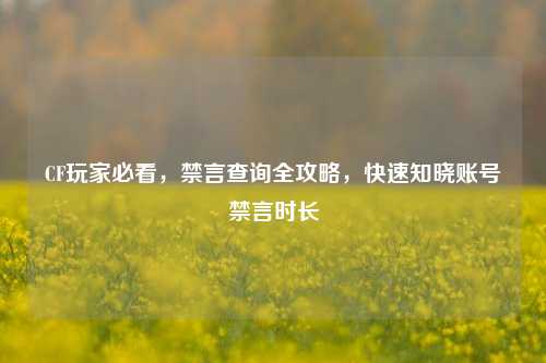 CF玩家必看,禁言查询全攻略,快速知晓账号禁言时长