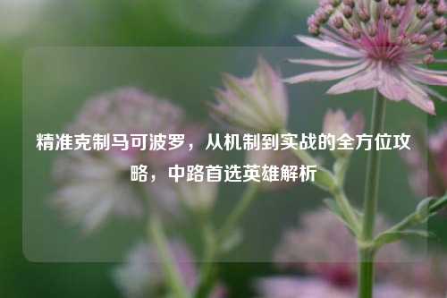 精准克制马可波罗,从机制到实战的全方位攻略,中路首选英雄解析