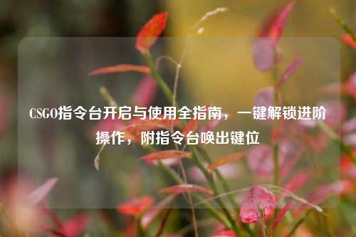 CSGO指令台开启与使用全指南,一键解锁进阶操作,附指令台唤出键位