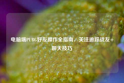电脑端PUBG好友操作全指南,关注追踪战友+聊天技巧