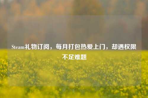 Steam礼物订阅,每月打包热爱上门,却遇权限不足难题