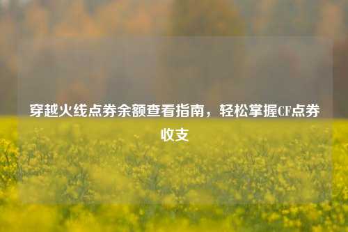 穿越火线点券余额查看指南,轻松掌握CF点券收支