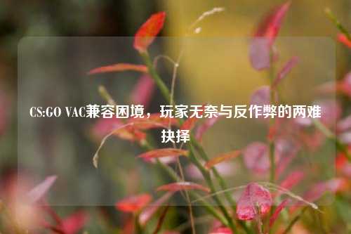 CS:GO VAC兼容困境,玩家无奈与反作弊的两难抉择