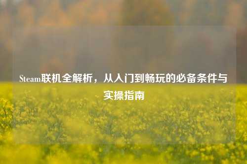 Steam联机全解析,从入门到畅玩的必备条件与实操指南