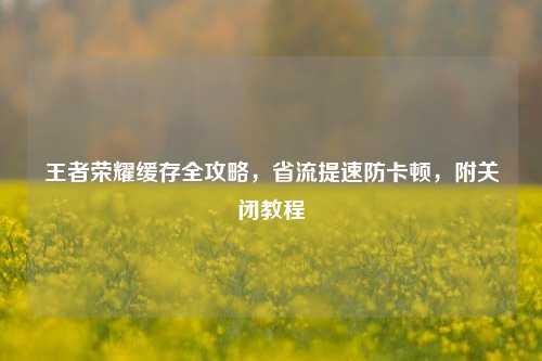 王者荣耀缓存全攻略,省流提速防卡顿,附关闭教程