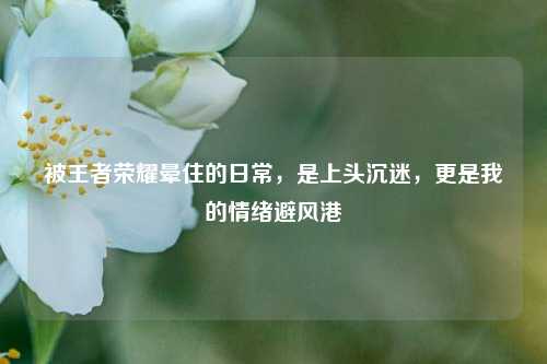 被王者荣耀晕住的日常,是上头沉迷,更是我的情绪避风港