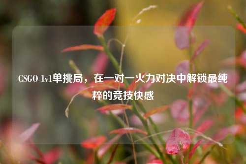 CSGO 1v1单挑局,在一对一火力对决中解锁最纯粹的竞技***
