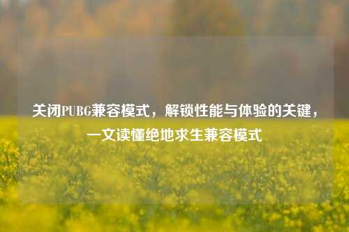 关闭PUBG兼容模式,解锁性能与体验的关键,一文读懂绝地求生兼容模式