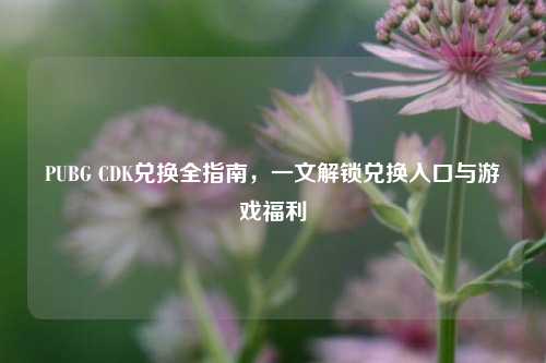 PUBG CDK兑换全指南,一文解锁兑换入口与游戏福利