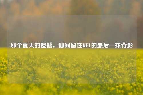 那个夏天的遗憾,仙阁留在KPL的最后一抹背影