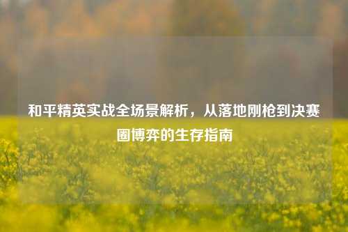 和平精英实战全场景解析,从落地刚枪到决赛圈博弈的生存指南