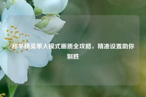 和平精英单人模式画质全攻略,精准设置助你制胜