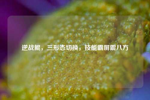逆战鲲,三形态切换,技能霸屏震八方