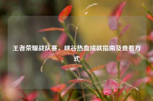王者荣耀战队赛,峡谷热血成就指南及查看方式