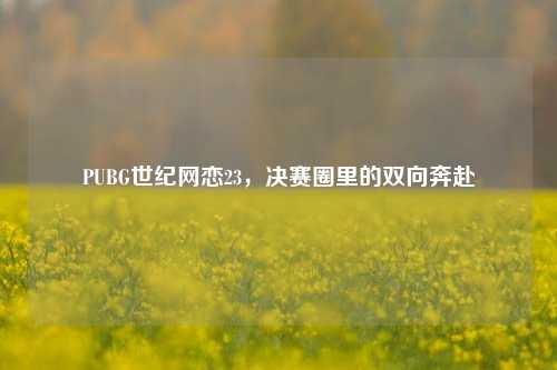 PUBG世纪网恋23,决赛圈里的双向奔赴