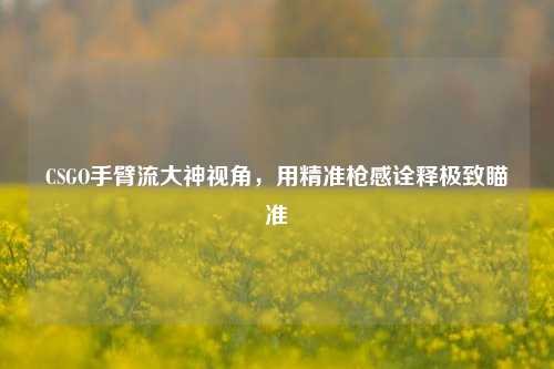 CSGO手臂流大神视角,用精准枪感诠释极致瞄准