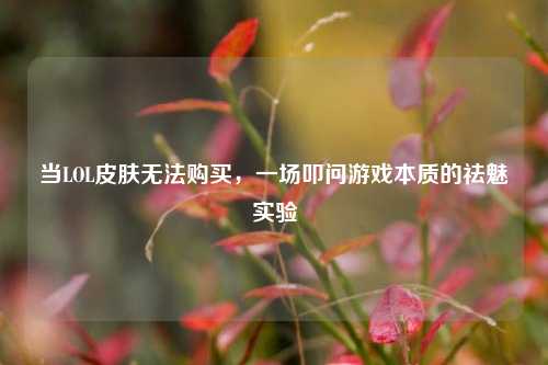 当LOL皮肤无法购买,一场叩问游戏本质的祛魅实验