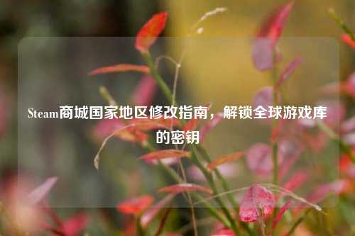 Steam商城国家地区修改指南,解锁全球游戏库的密钥