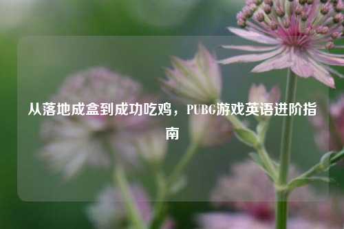 从落地成盒到成功吃鸡,PUBG游戏英语进阶指南