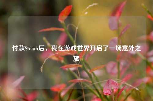付款Steam后,我在游戏世界开启了一场意外之旅