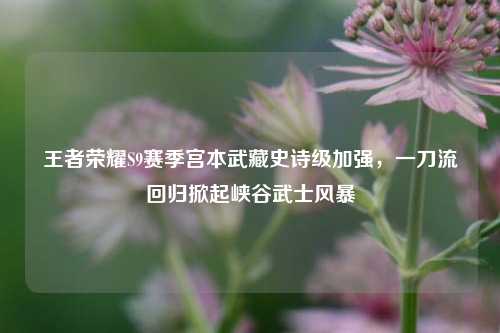 王者荣耀S9赛季宫本武藏史诗级加强,一刀流回归掀起峡谷武士风暴