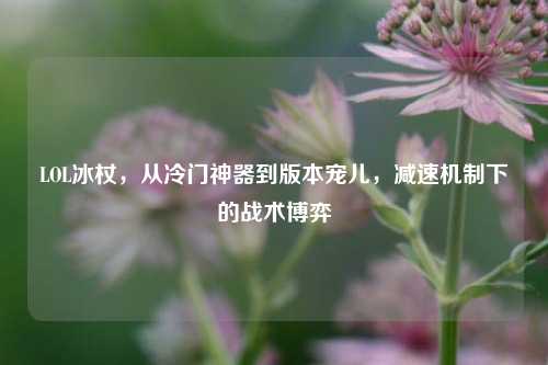 LOL冰杖,从冷门神器到版本宠儿,减速机制下的战术博弈