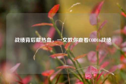 战绩背后藏热血,一文教你查看COD16战绩