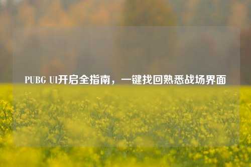 PUBG UI开启全指南,一键找回熟悉战场界面