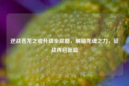 逆战苍龙之戒升级全攻略,解锁龙魂之力,征战再启新篇