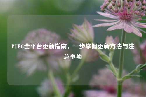 PUBG全平台更新指南,一步掌握更新 与注意事项