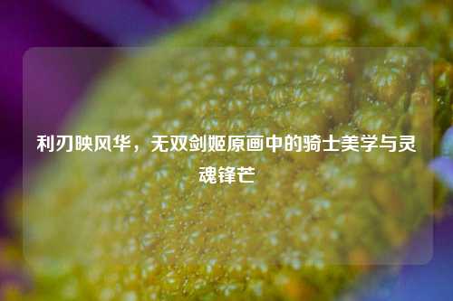 利刃映风华,无双剑姬原画中的骑士美学与灵魂锋芒