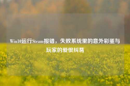 Win10运行Steam报错,失败系统里的意外彩蛋与玩家的爱恨纠葛