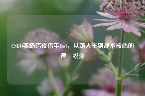 CSGO赛场暗夜猎手Owl,从路人王到战术核心的涅槃蜕变