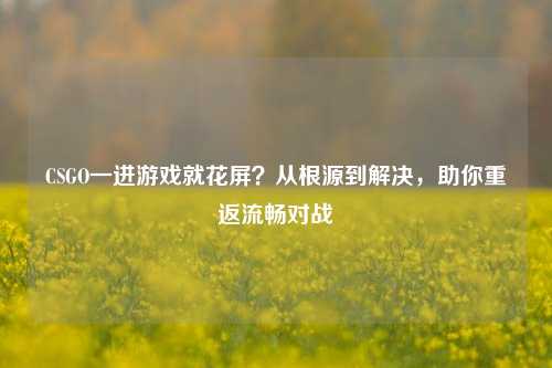 CSGO一进游戏就花屏?从根源到解决,助你重返流畅对战