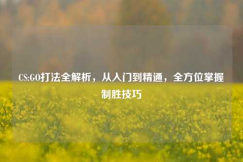 CS:GO打法全解析,从入门到精通,全方位掌握制胜技巧