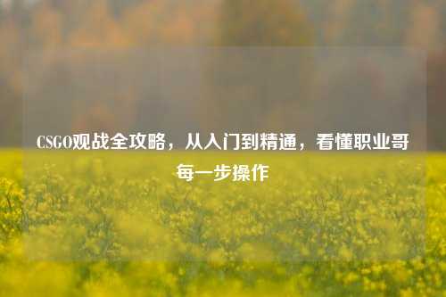 CSGO观战全攻略,从入门到精通,看懂职业哥每一步操作