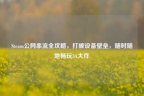 Steam公网串流全攻略,打破设备壁垒,随时随地畅玩3A大作