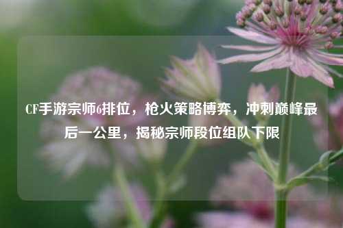 CF手游宗师6排位,枪火策略博弈,冲刺巅峰最后一公里,揭秘宗师段位组队下限