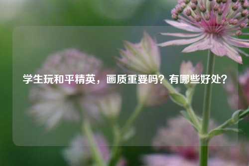 学生玩和平精英,画质重要吗?有哪些好处?