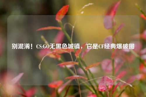 别混淆!CS:GO无黑色城镇,它是CF经典爆破图