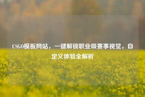 CSGO模板网站,一键解锁职业级赛事视觉,自定义体验全解析