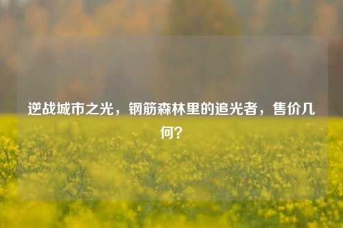 逆战城市之光,钢筋森林里的追光者,售价几何?