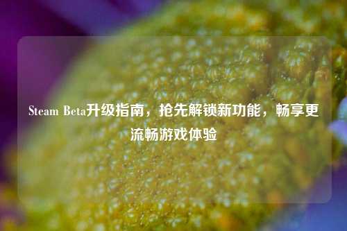 Steam Beta升级指南,抢先解锁新功能,畅享更流畅游戏体验