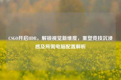 CSGO开启HDR,解锁视觉新维度,重塑竞技沉浸感及所需电脑配置解析