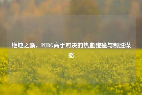 绝地之巅,PUBG高手对决的热血碰撞与制胜谋略