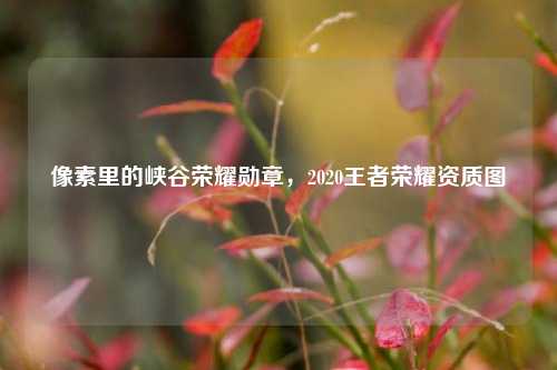 像素里的峡谷荣耀勋章,2020王者荣耀资质图