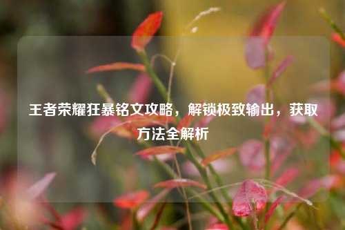 王者荣耀狂暴铭文攻略,解锁极致输出,获取 全解析