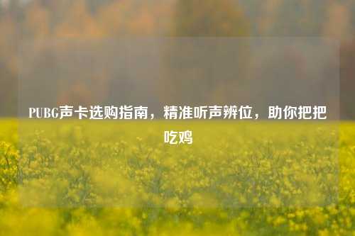 PUBG声卡选购指南,精准听声辨位,助你把把吃鸡
