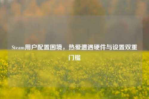 Steam用户配置困境,热爱遭遇硬件与设置双重门槛